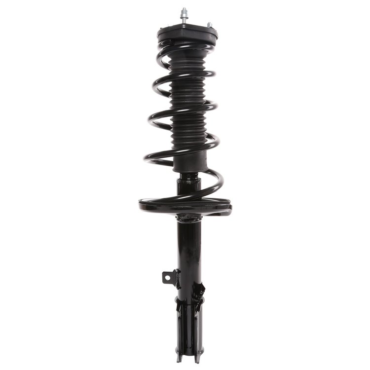 Strut Assembly
