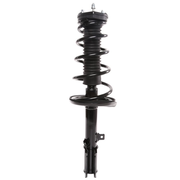 Strut Assembly