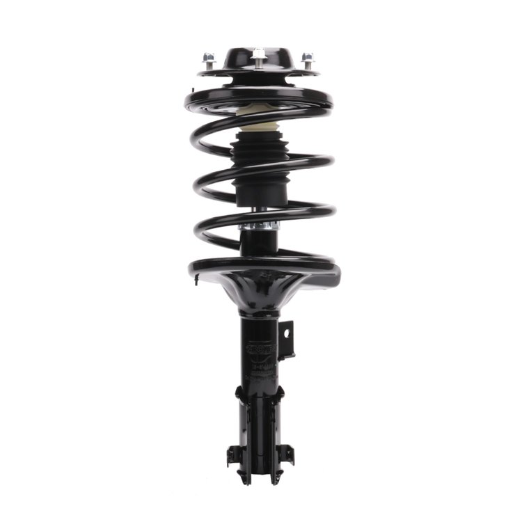 Strut Assembly
