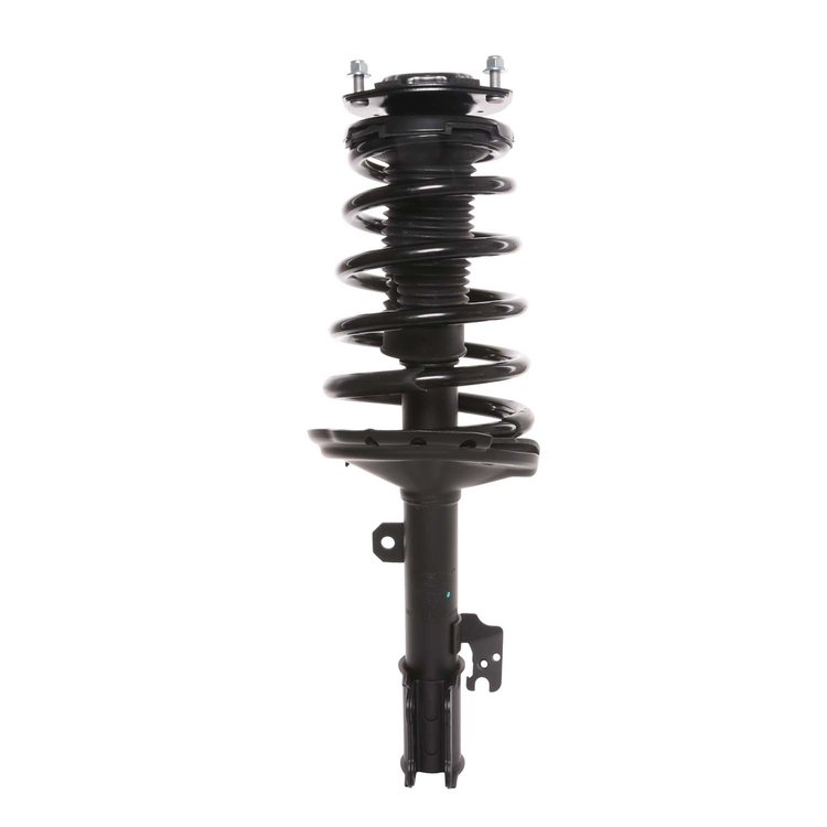 Strut Assembly