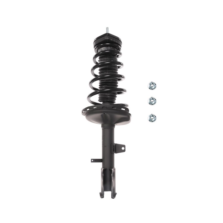 Strut Assembly