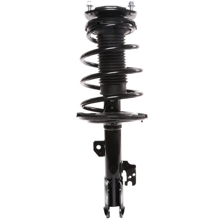 Strut Assembly
