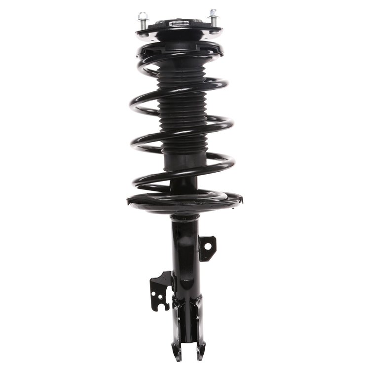 Strut Assembly