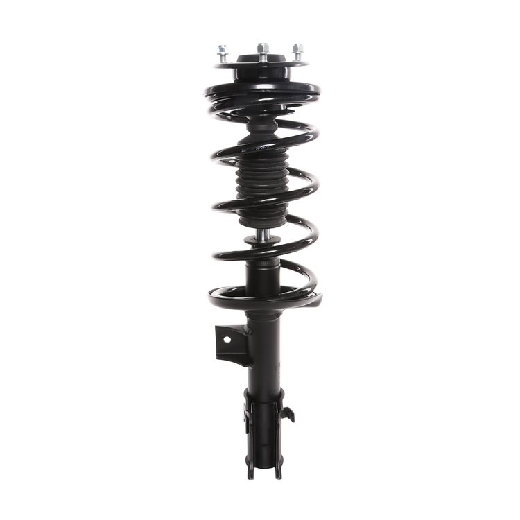 Strut Assembly