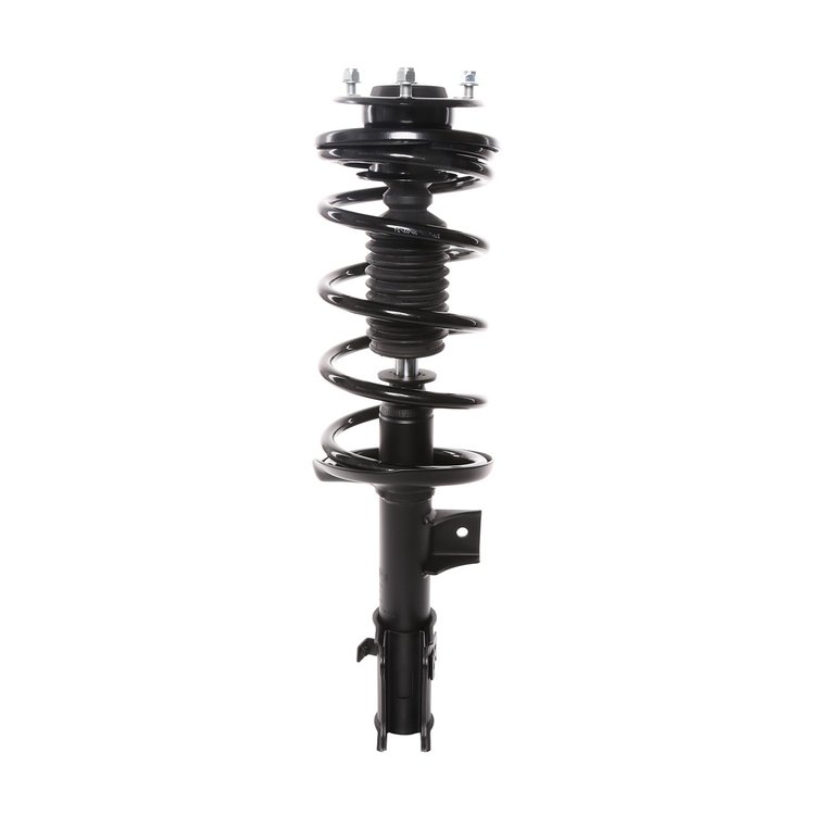 Strut Assembly