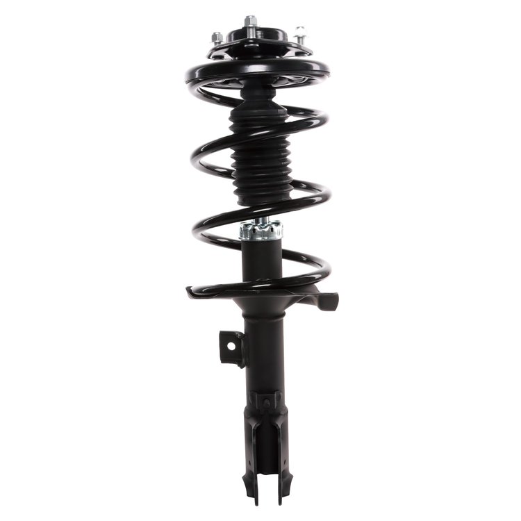 Strut Assembly