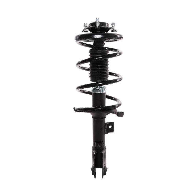 Strut Assembly