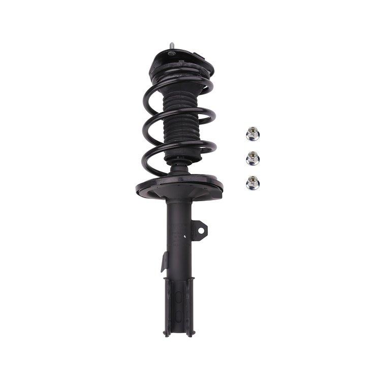 Strut Assembly