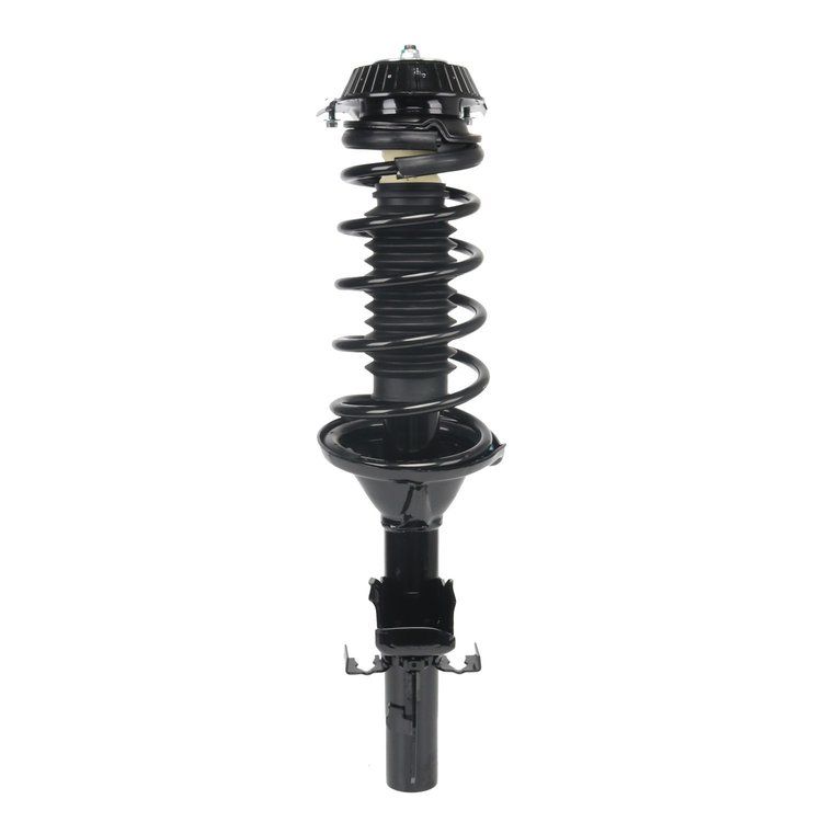 Strut Assembly