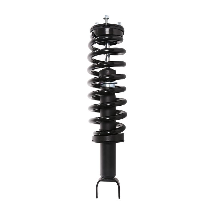 Strut Assembly