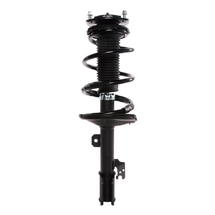 Strut Assembly