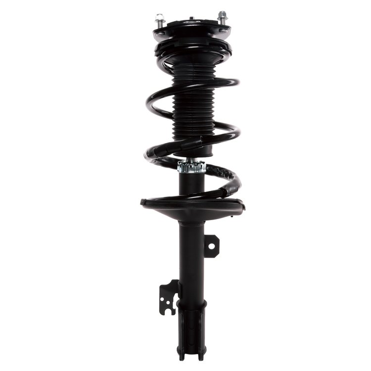 Strut Assembly