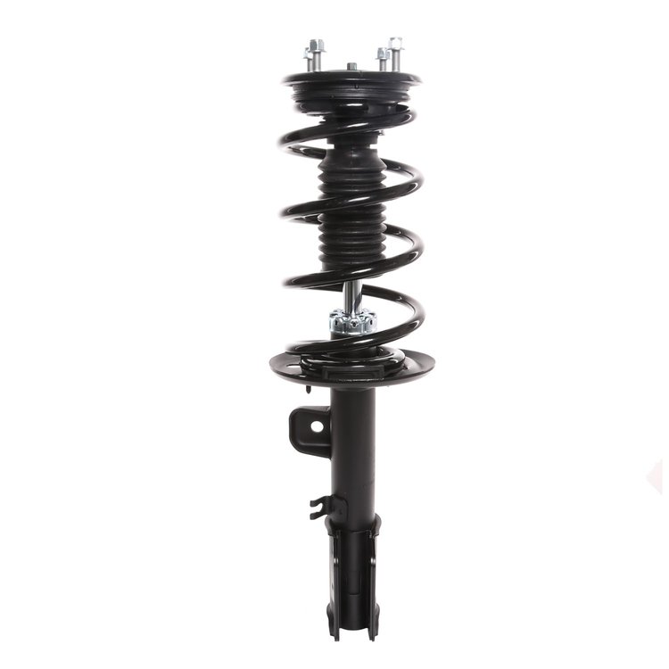 Strut Assembly