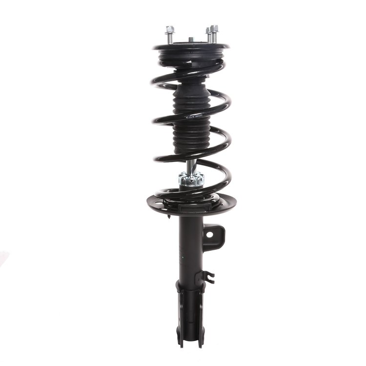 Strut Assembly