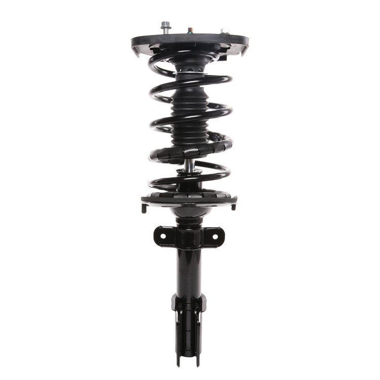 Strut Assembly