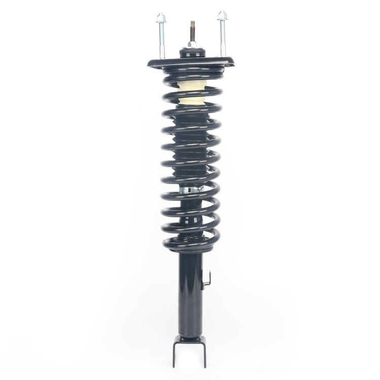 Strut Assembly