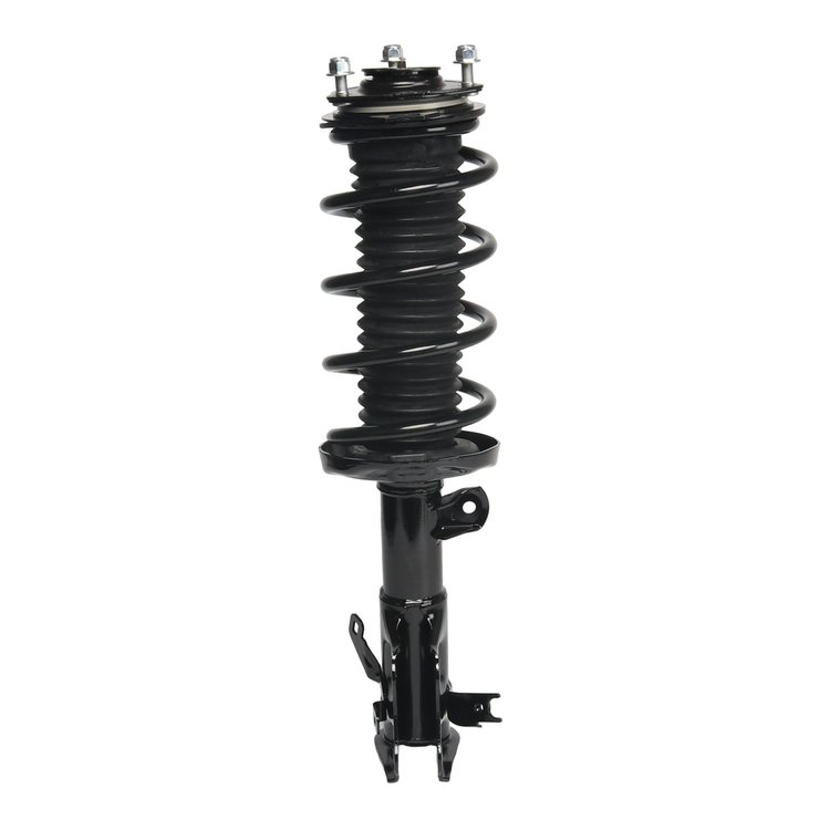 Strut Assembly