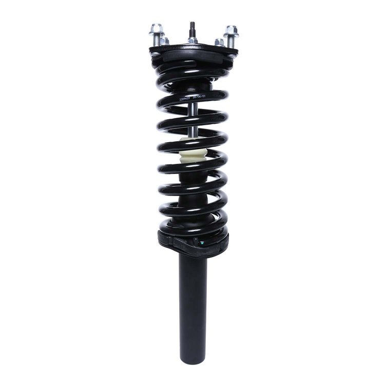 Strut Assembly