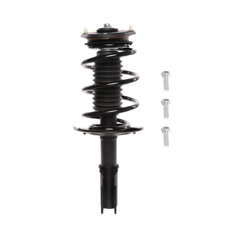 Strut Assembly