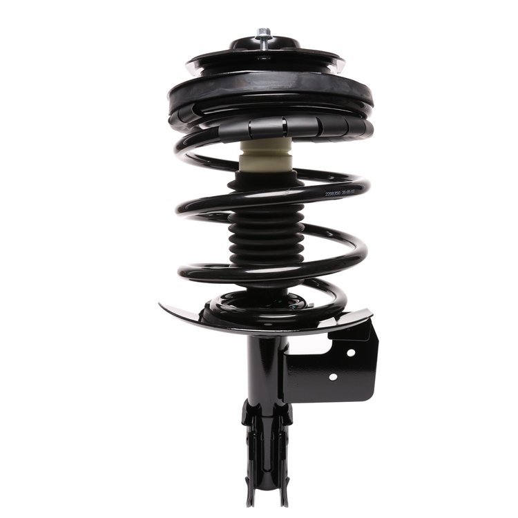 Strut Assembly