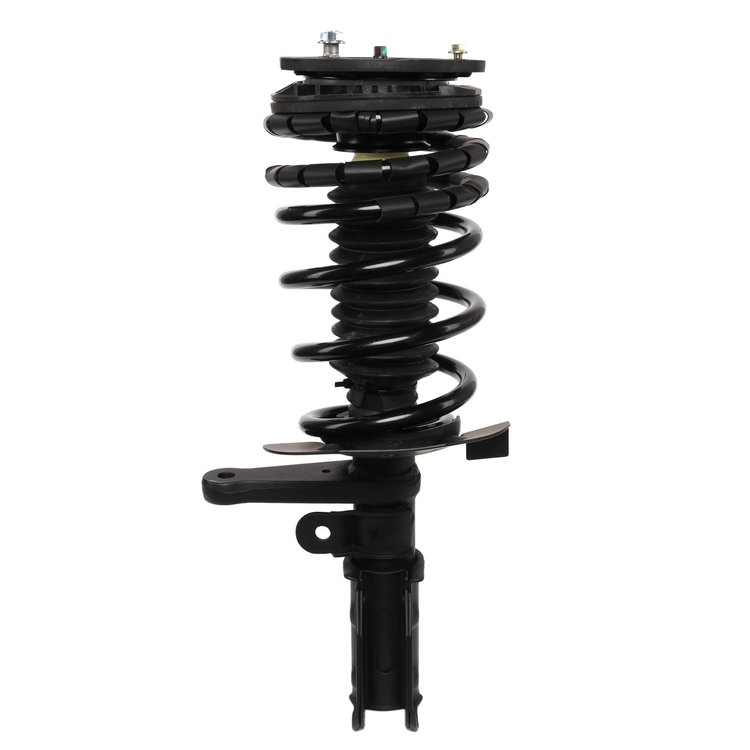 Strut Assembly