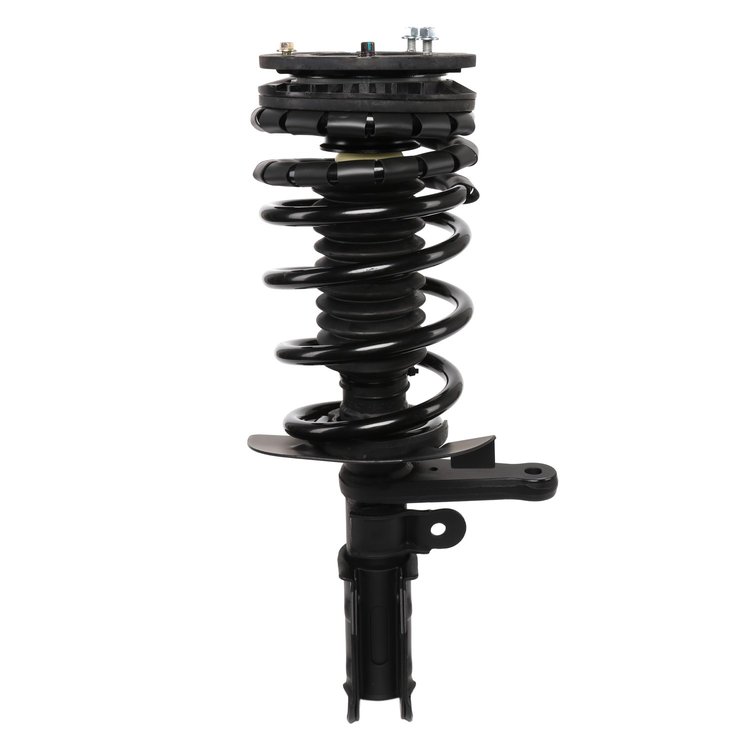 Strut Assembly