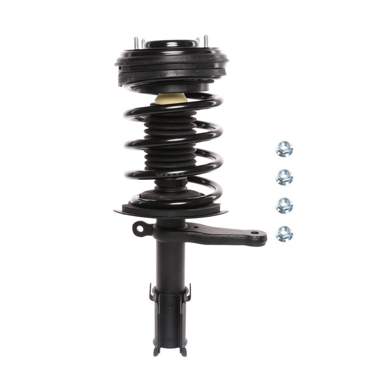 Strut Assembly