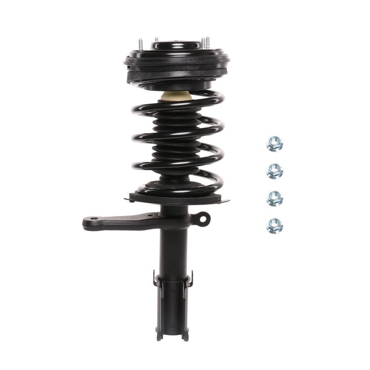 Strut Assembly