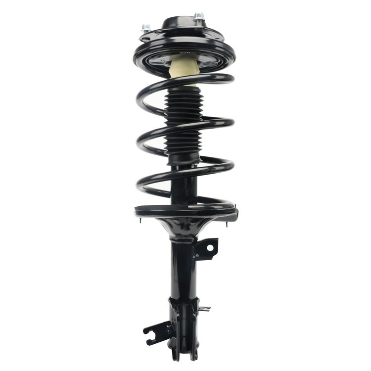 Strut Assembly