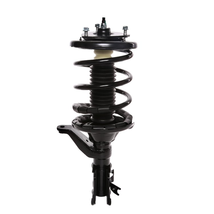 Strut Assembly