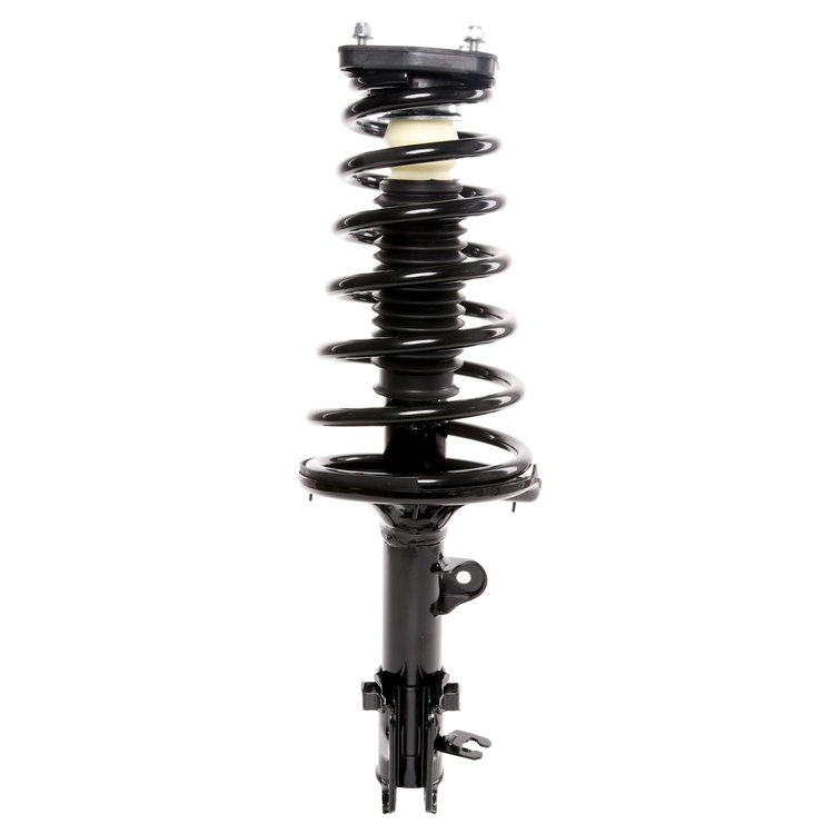 Strut Assembly