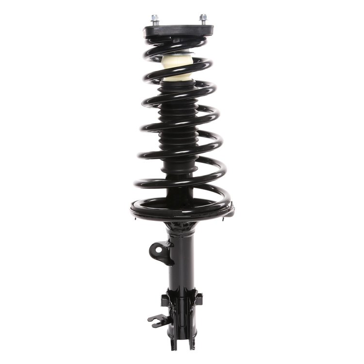 Strut Assembly