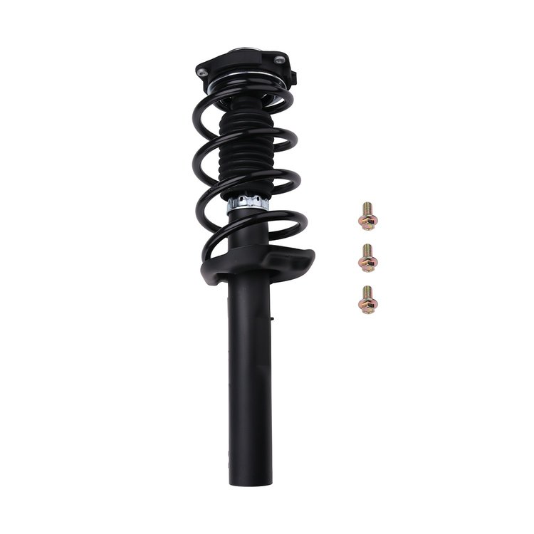 Strut Assembly