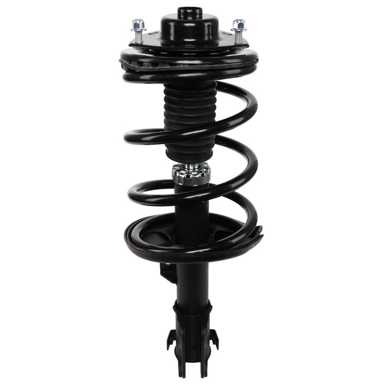 Strut Assembly
