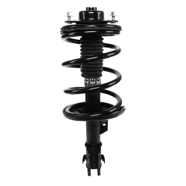 Strut Assembly