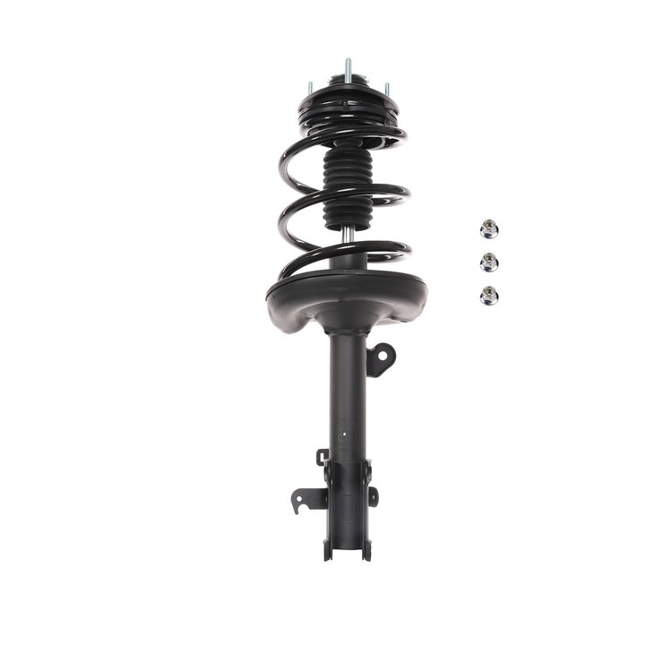 Strut Assembly