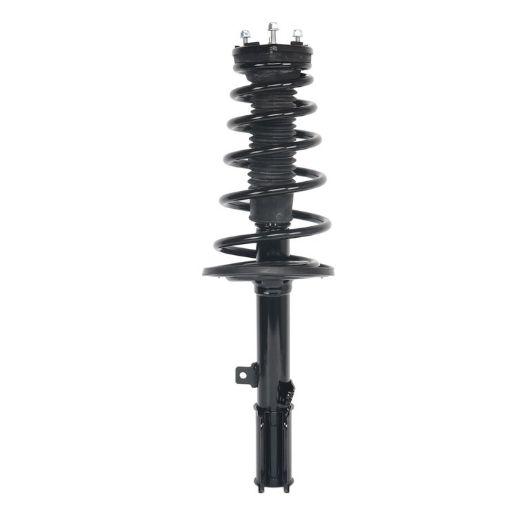 Strut Assembly