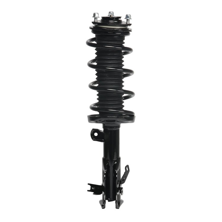 Strut Assembly