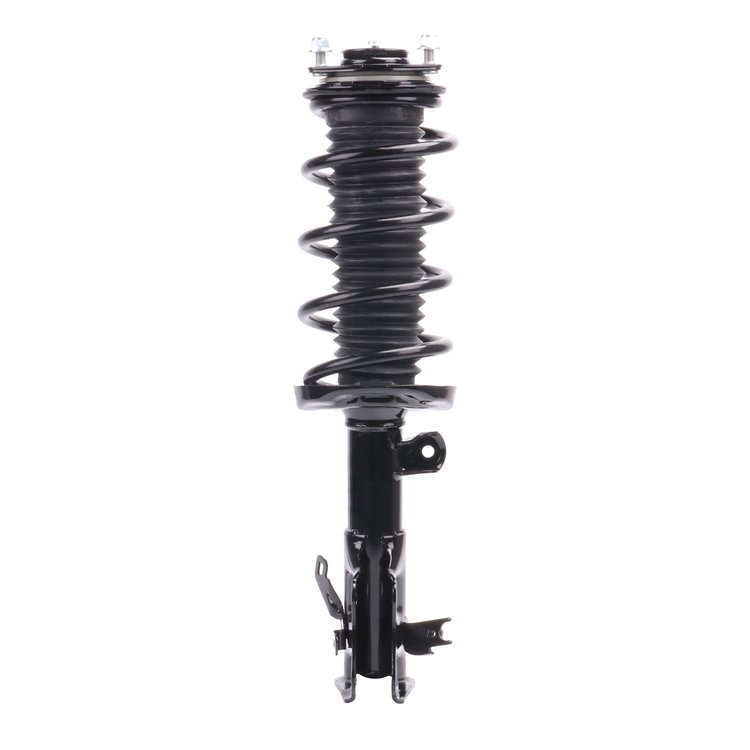 Strut Assembly
