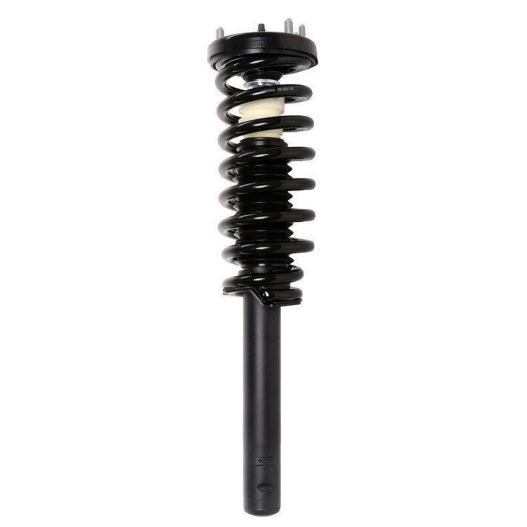 Strut Assembly