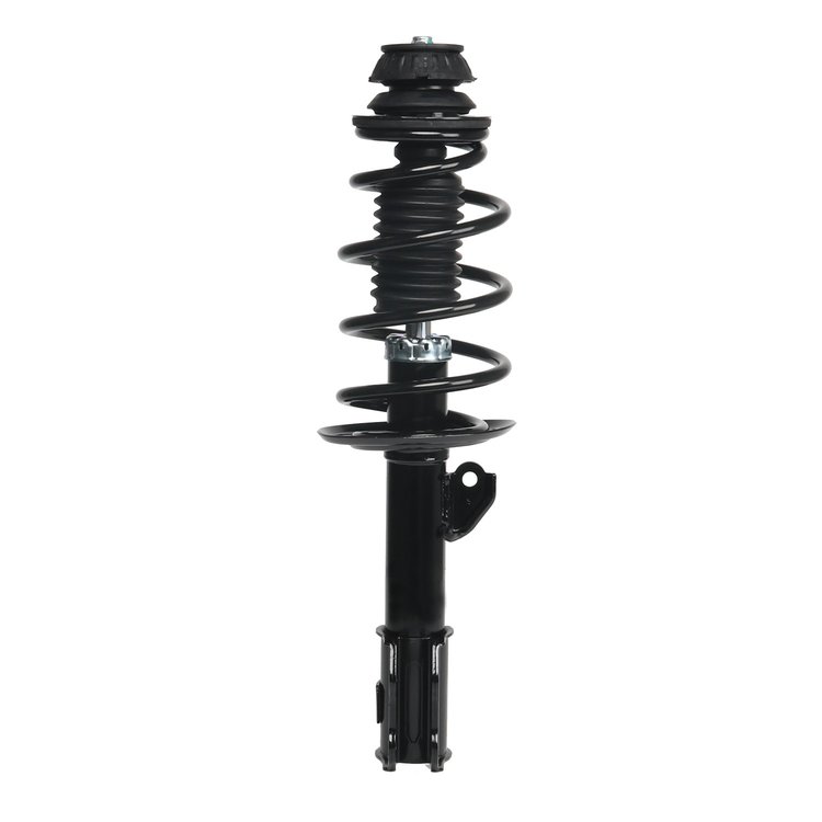 Strut Assembly