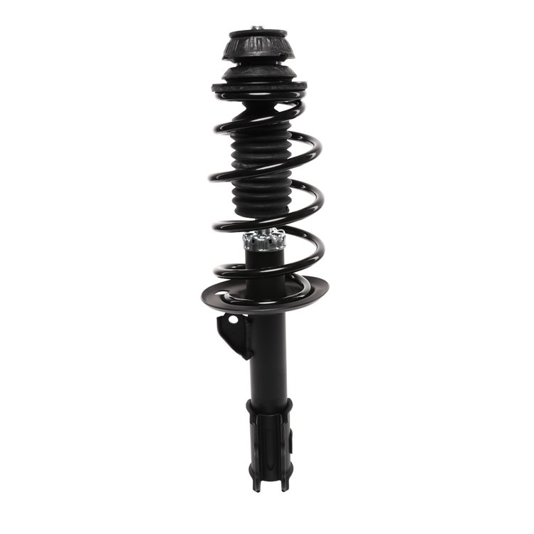 Strut Assembly