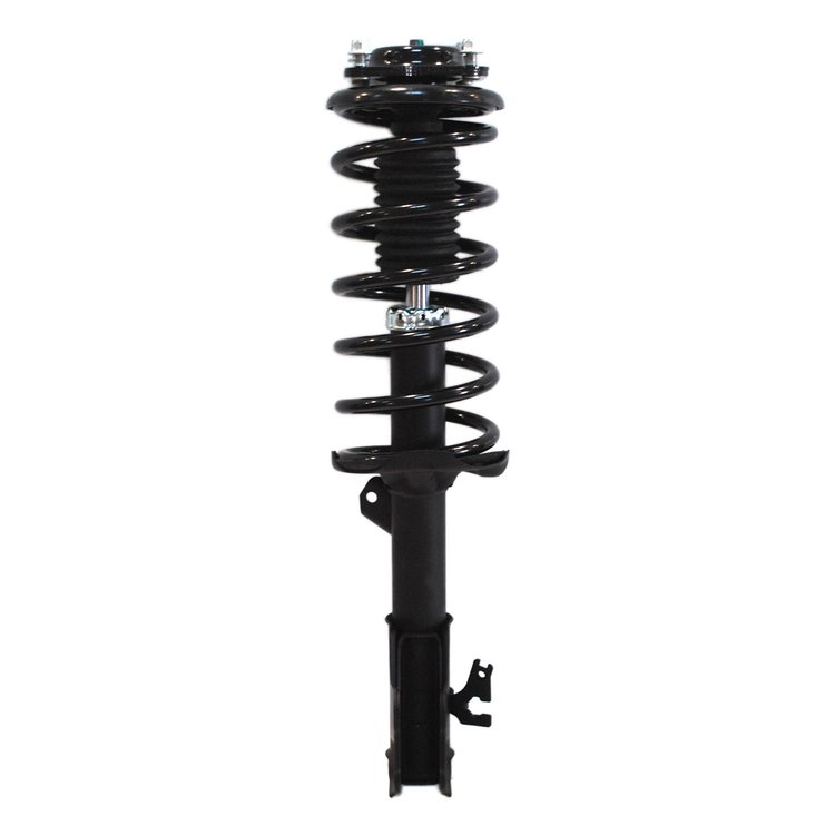 Strut Assembly