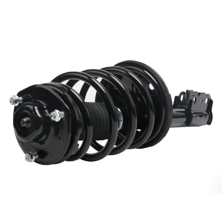 Strut Assembly