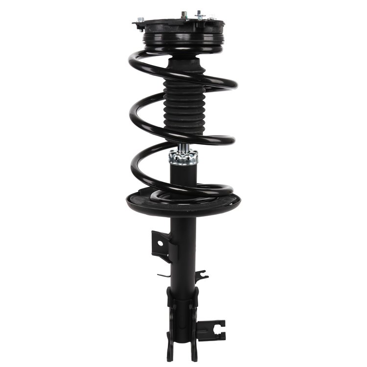 Strut Assembly