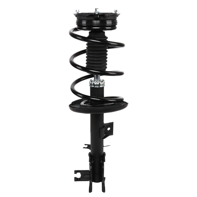 Strut Assembly