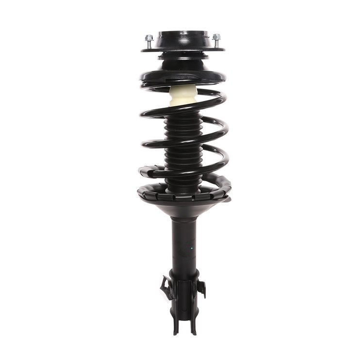 Strut Assembly