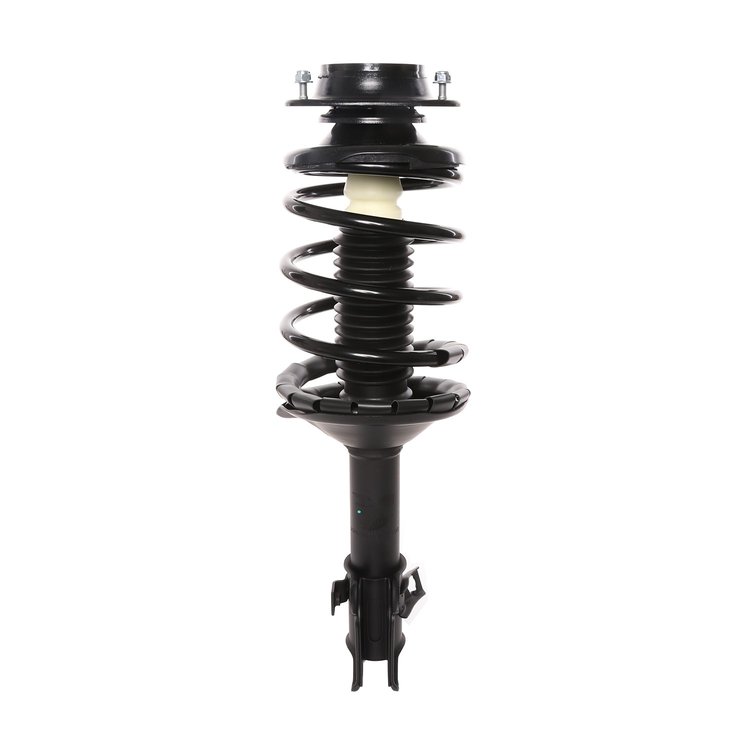 Strut Assembly