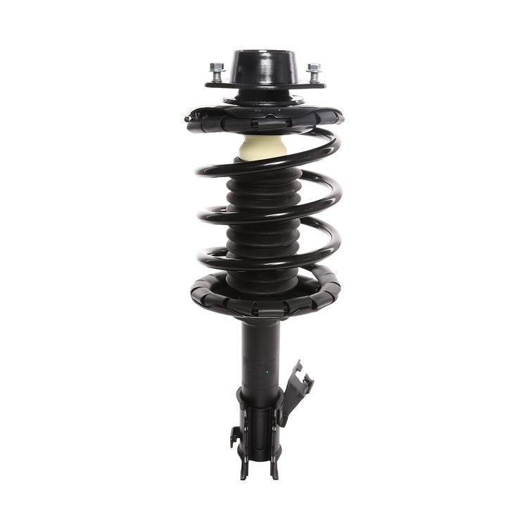Strut Assembly