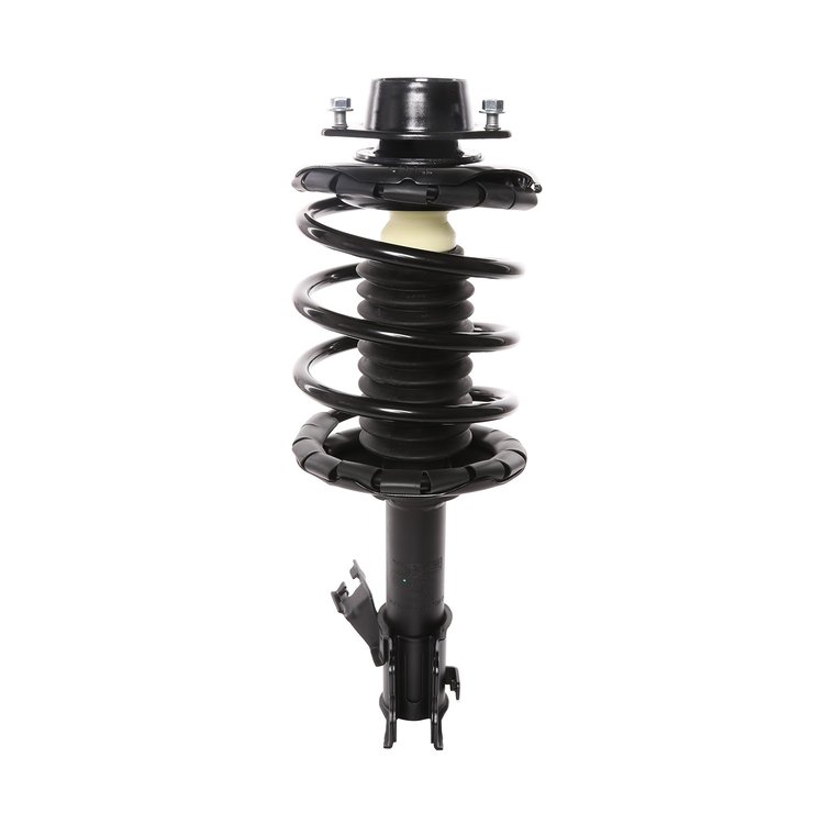 Strut Assembly